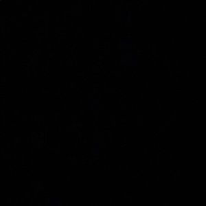 Meet your Posher, Silja